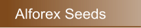 Alforex Seeds