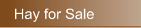 Hay for Sale